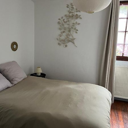 La Maison Du Pont Vieux 卡尔卡松 外观 照片